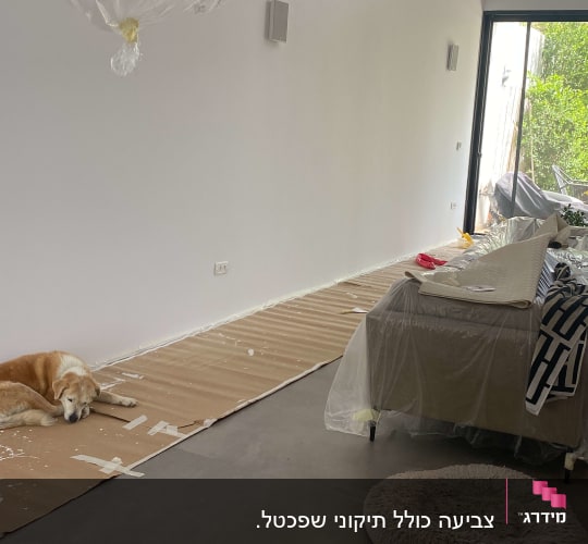 חדר עם קירות צבועים, כיסוי ניילון על רהיטים